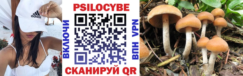 Купить где  Саранск  Псилоцибиновые грибы Magic Shrooms 